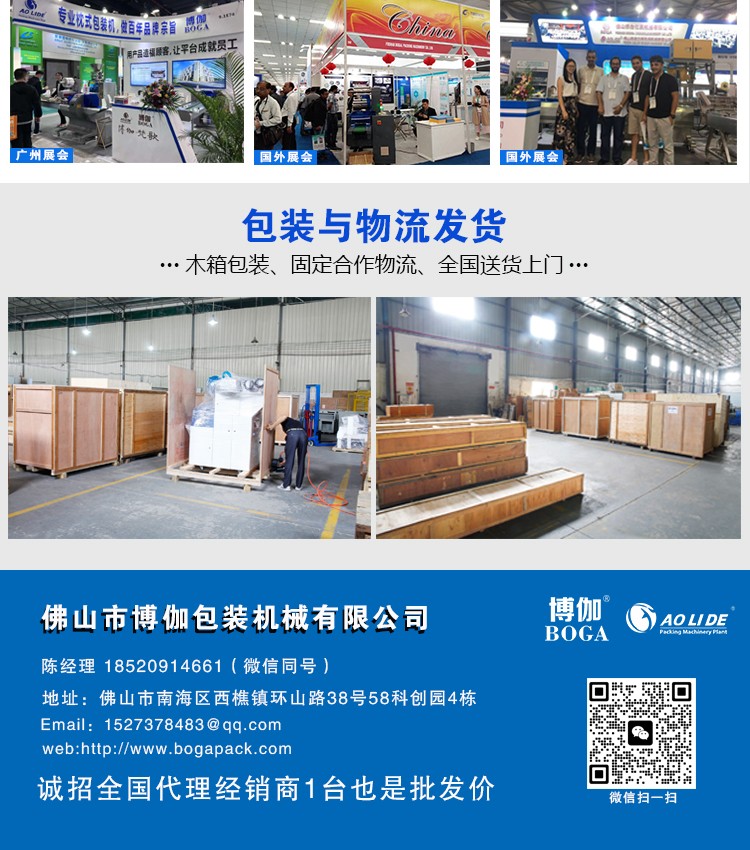 BG1000-350XDAN新下走膜枕式包装机